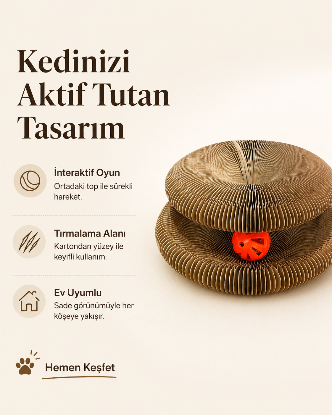 Akordiyon Karton Kedi Oyuncağı
