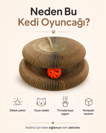 Akordiyon Karton Kedi Oyuncağı