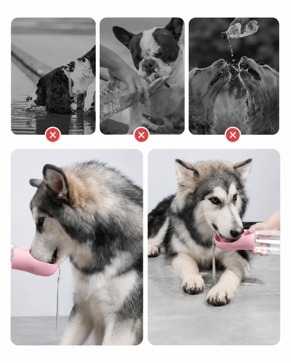 Taşınabilir Kedi Köpek Suluğu 3'ü 1 arada Seyahat Su Şişesi Mama Kaseli ve Çöp Poşeti Hazneli