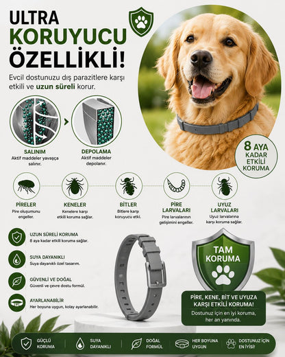 Pire, Kene ve Uyuz Önleyici